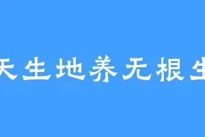 天生地养无根生