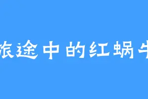 旅途中的红蜗牛