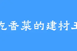 吃香菜的建材王