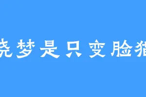 晓梦是只变脸猫