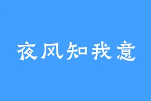 夜风知我意