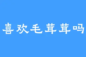 喜欢毛茸茸吗