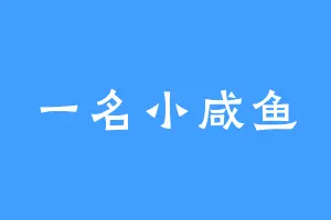 一名小咸鱼