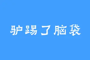 驴踢了脑袋