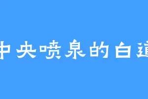 中央喷泉的白道