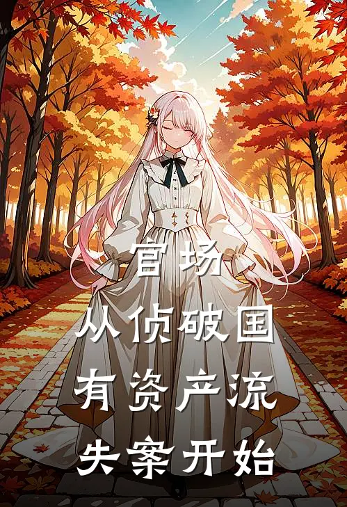 官场：从侦破国有资产流失案开始