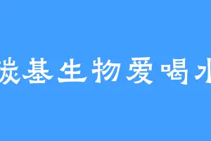 碳基生物爱喝水