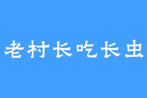 老村长吃长虫