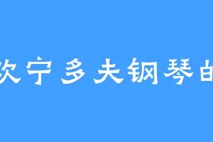喜欢宁多夫钢琴的夕