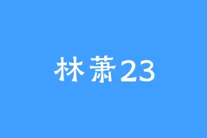 林萧23