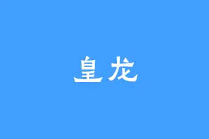 皇龙