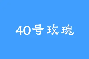 40号玫瑰