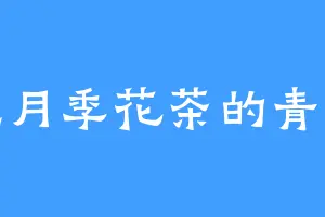 爱吃月季花茶的青禾纪