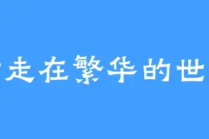 行走在繁华的世界