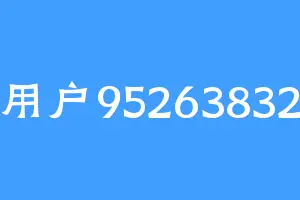 用户95263832
