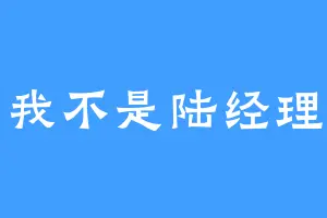 我不是陆经理