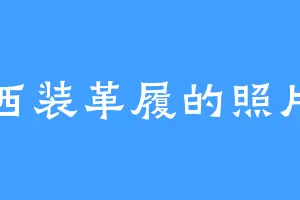 西装革履的照片