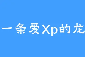 一条爱Xp的龙