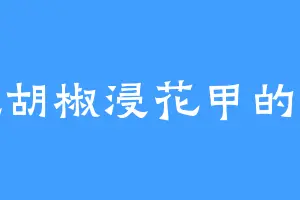 爱吃胡椒浸花甲的道皇