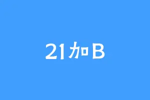 21加B