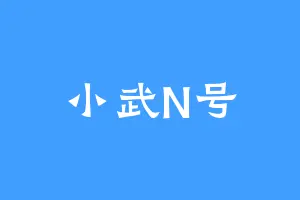 小武N号